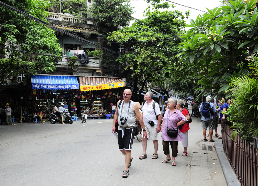 PERFUMED ALSTONIA SCHOLARIS IN HANOI PERFUMED ALSTONIA SCHOLARIS IN HANOI