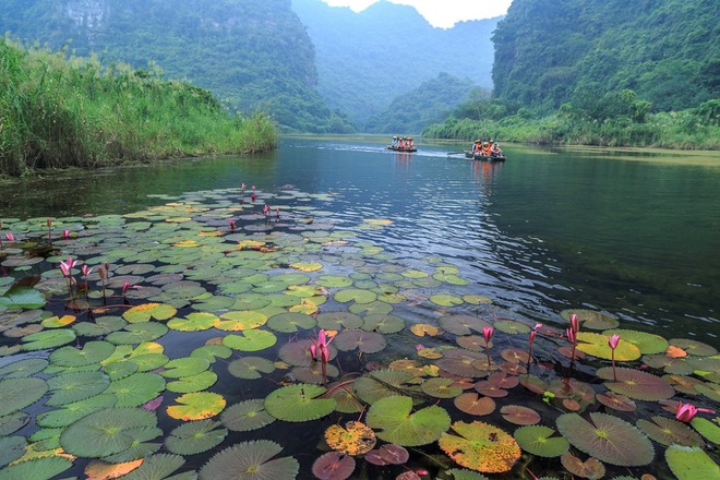 THE PEACEFUL AUTUMN ON NGO DONG RIVER THE PEACEFUL AUTUMN ON NGO DONG RIVER