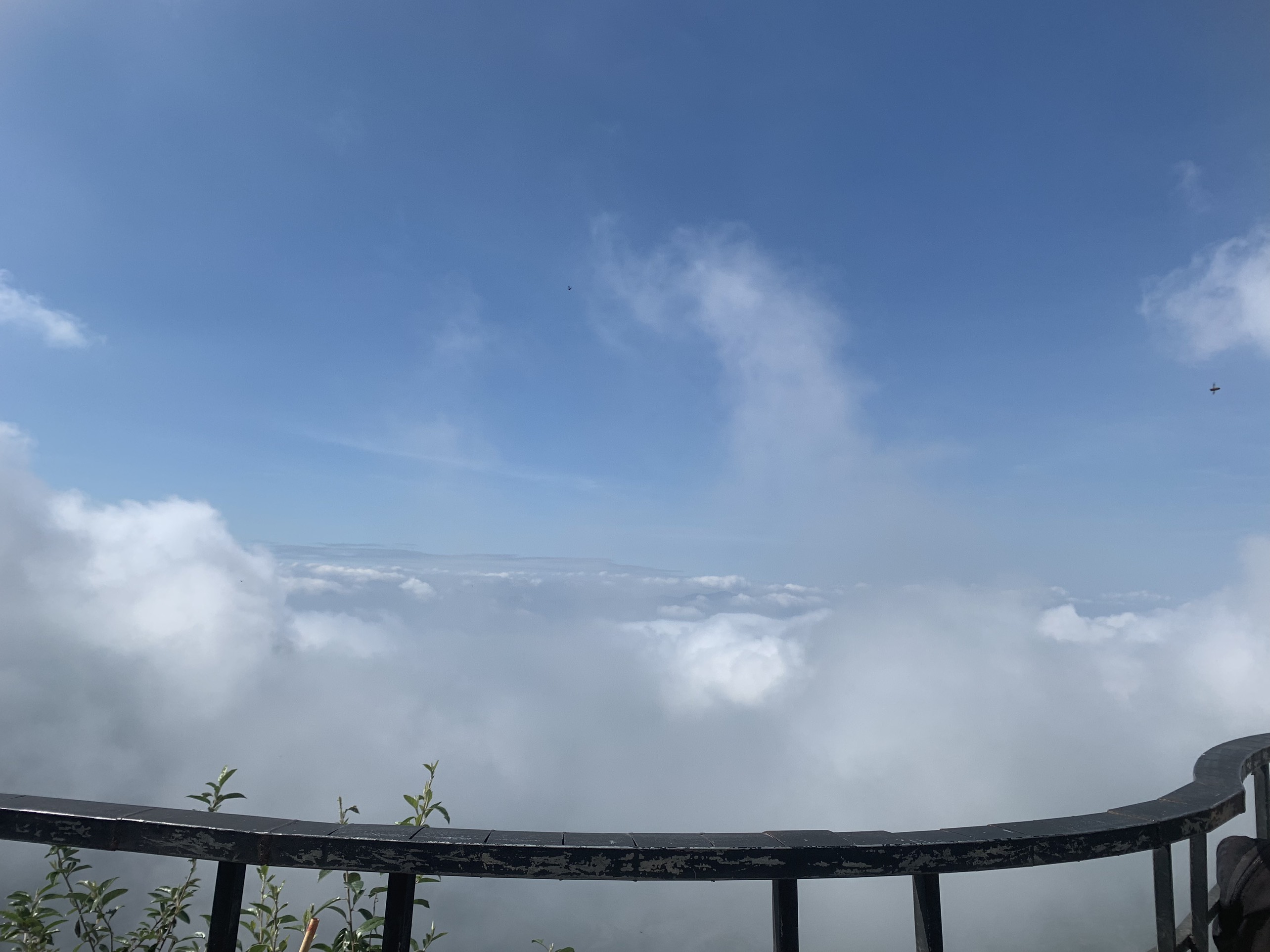 Ta Xua, a high-altitude haven in northern Vietnam Ta Xua, a high-altitude haven in northern Vietnam