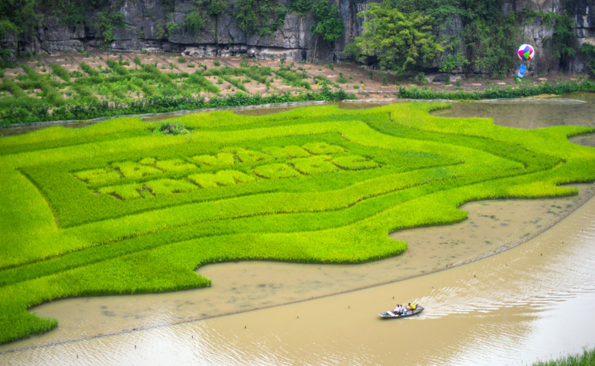 What should we do in Ninh Binh? What should we do in Ninh Binh?
