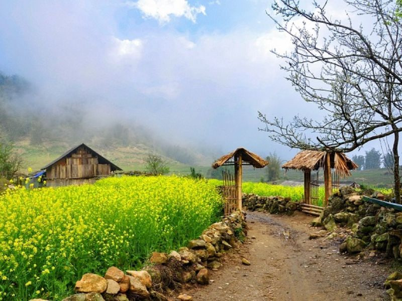 Five Major Trends Shaping the Global Tourism Landscape in 2026