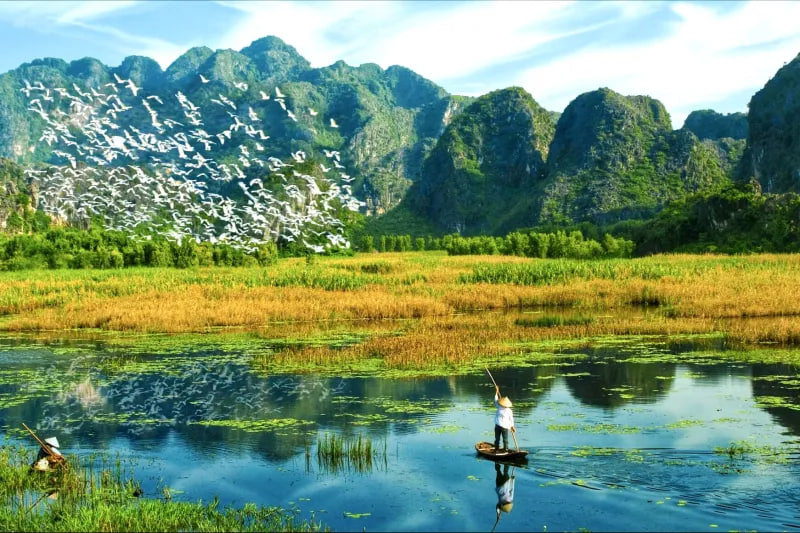 Ninh Binh Travel Guide 2026: Discover the Beauty of Limestone Mountains and Golden Rice Fields Ninh Binh Travel Guide 2026: Discover the Beauty of Limestone Mountains and Golden Rice Fields
