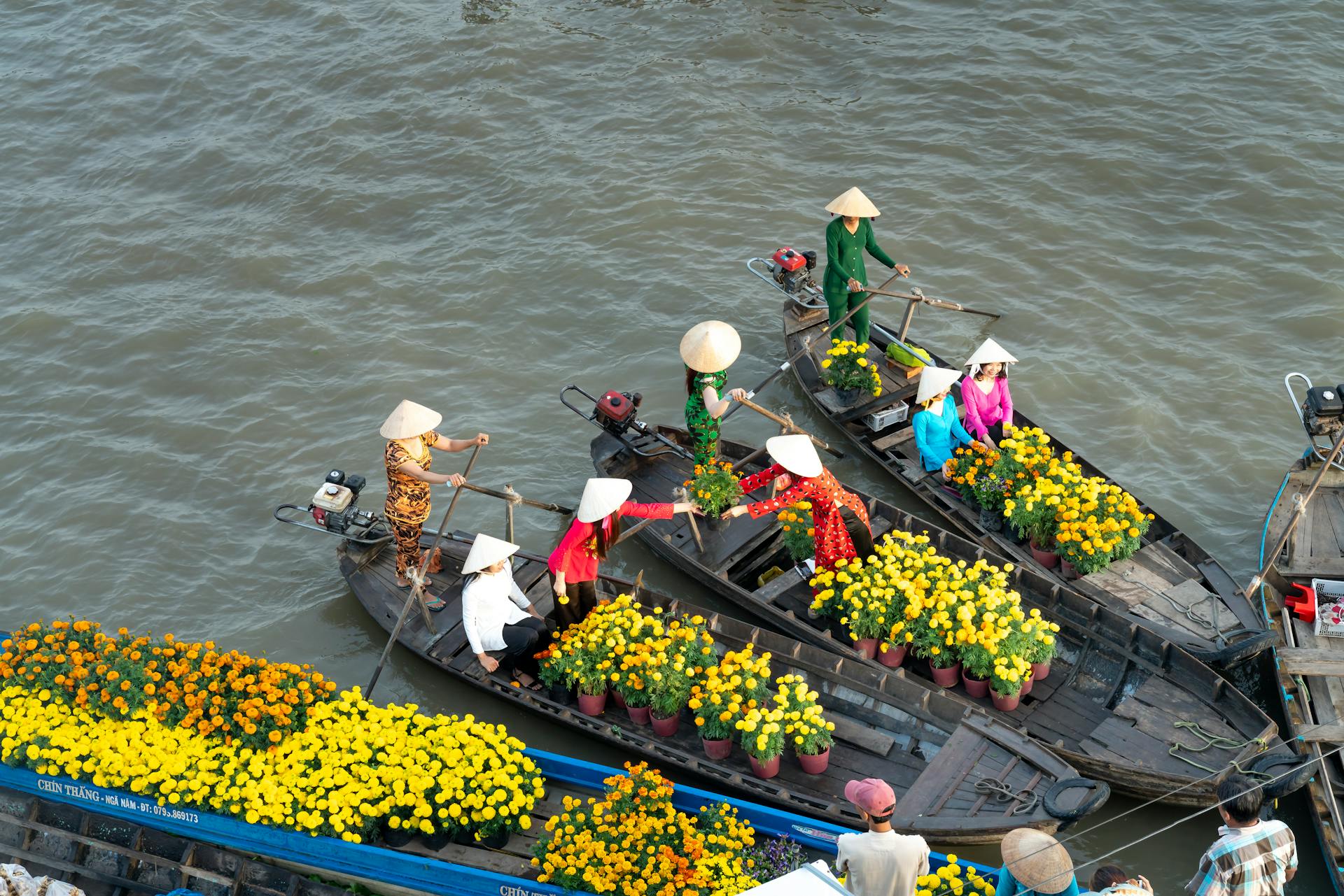 Mekong Delta Travel Guide 2026 Mekong Delta Travel Guide 2026