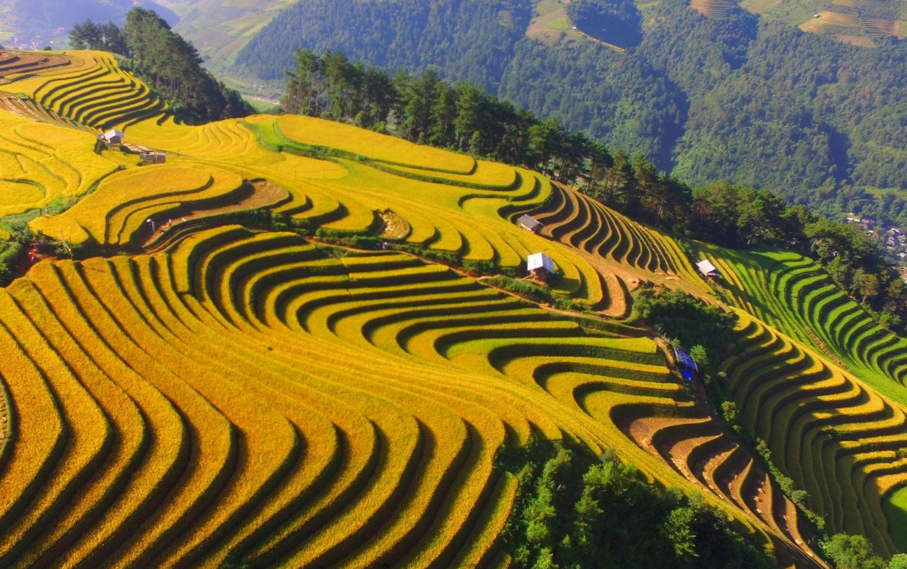 Discover the Vibrant Mông Culture in Điện Biên. Discover the Vibrant Mông Culture in Điện Biên.